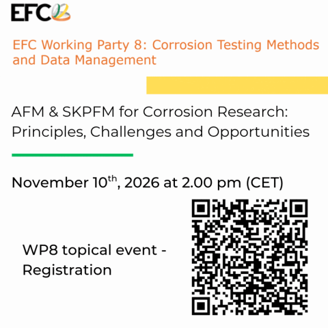 Topical event WP8-Nov2026
